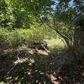 67 Tanners Neck Lane - Photo 9