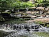 55 Reindeer Trail - Photo 25
