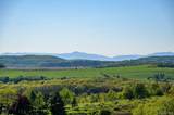 315 Weed Mine Road - Photo 5