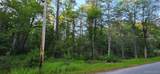 Lot 3.3 Old Tacy Road - Photo 2