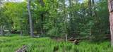 Lot 3.3 Old Tacy Road - Photo 11