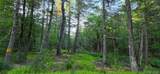 Lot 3.3 Old Tacy Road - Photo 5