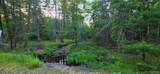 Lot 3.3 Old Tacy Road - Photo 8