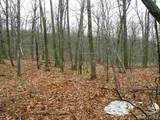 618 Bean River Road - Photo 22