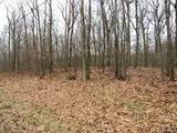 618 Bean River Road - Photo 26