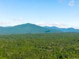 TBD Buck Road - Photo 11