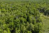 TBD Buck Road - Photo 3