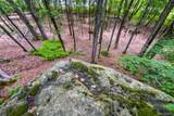 61 Fusco Drive - Photo 44