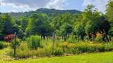 938 Woodland Valley Road - Photo 23