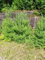 96 Hasbrouck Road - Photo 3