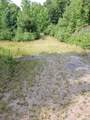 96 Hasbrouck Road - Photo 5