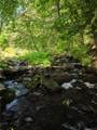 433 County Road 116 - Photo 32