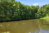 16 Buena Vista Point - Photo 50
