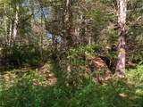  Tbd Chapin Trail - Photo 5