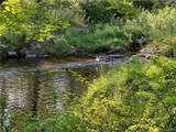  Tbd Chapin Trail - Photo 6