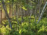  Tbd Chapin Trail - Photo 8