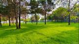 265 Old Field Court - Photo 46