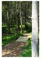 301 Reyer Road - Photo 41