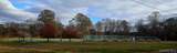  Lena Road - Photo 5