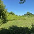 1089 Pulaski Highway - Photo 9