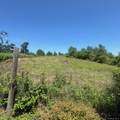 1089 Pulaski Highway - Photo 10