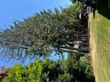 1067 Codwise Street - Photo 32