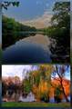 180 Van Cortlandt Park - Photo 15
