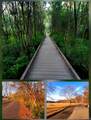 180 Van Cortlandt Park - Photo 16