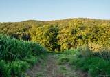 1275 Boston Corners Road - Photo 3