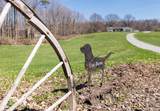 394 Smith Road - Photo 4