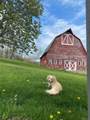 314 Schoolhouse Road - Photo 7
