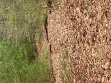  Plank Road  Forestburg New York - Photo 14
