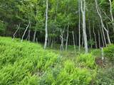 TBD Timberwolf Road - Photo 11