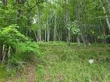 TBD Timberwolf Road - Photo 13