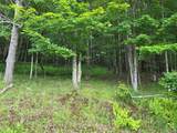 TBD Timberwolf Road - Photo 16