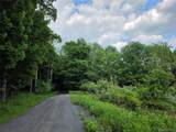TBD Timberwolf Road - Photo 19