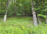 TBD Timberwolf Road - Photo 21