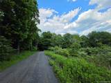 TBD Timberwolf Road - Photo 6