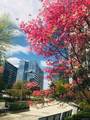 13101 40th Road - Photo 29