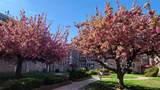 65-30 Grand Central Parkway - Photo 1