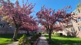 65-30 Grand Central Parkway - Photo 23
