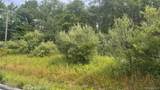  Horseshoe Lake Road - Photo 2