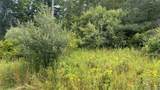  Horseshoe Lake Road - Photo 3