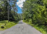 TDB White Roe Lake Road - Photo 1