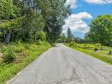 TDB White Roe Lake Road - Photo 7