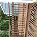 1 Gates Place - Photo 4