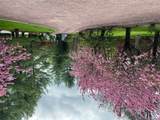 8 Plaka Court - Photo 33