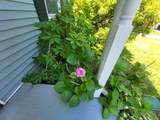 3 Vanamee Street - Photo 6