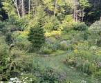 323 Beaverkill Road - Photo 34