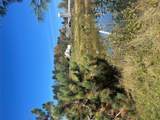 2614 Turnpike Road - Photo 25